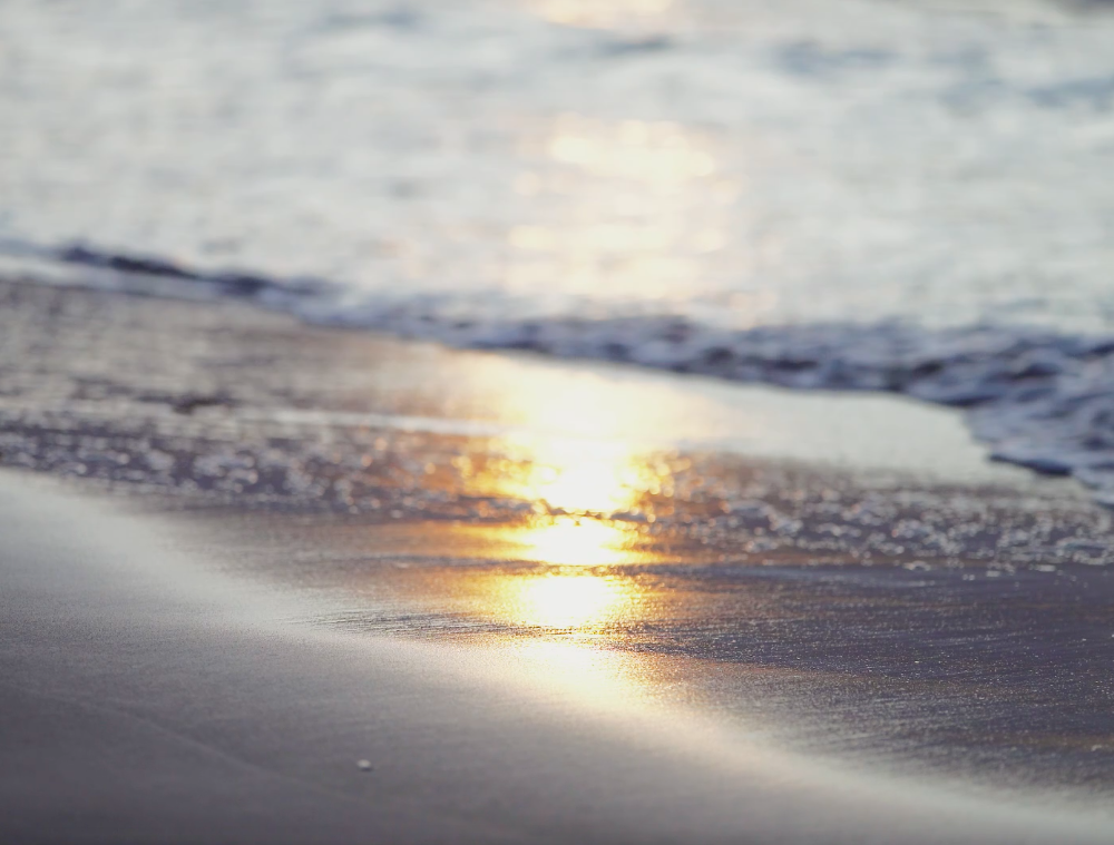 Skärmavbild 2025-02-10 kl. 16.25.30