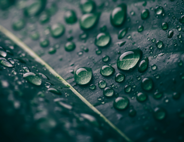 Untitled-2 (kopia 2)