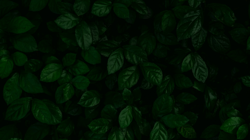 Untitled-2 (kopia)